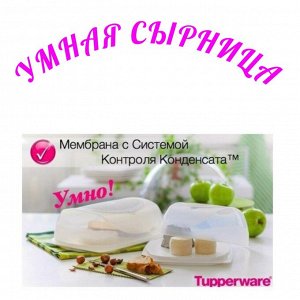 Умная Сырница прямоугольная Tupperware™- 1шт. .