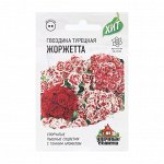 Семена Гвоздика бородатая &quot;Жоржетта&quot;, махровая, смесь, ХИТ х3, 0,1 г
