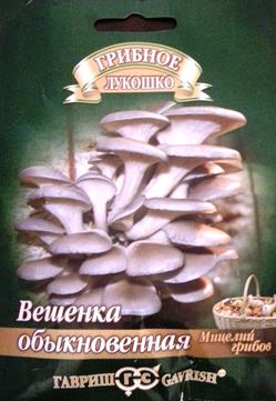 Грибы Вешенка Обыкновенная (Код: 82745)