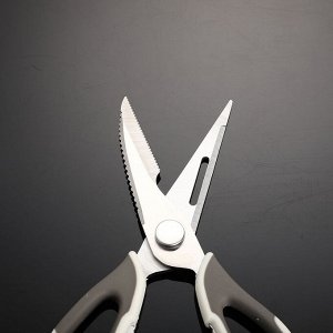 Ножницы кухонные разборные, многофункциональные