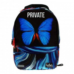 Рюкзак молодёжный 39 х 30 х 17 см, эргономичная спинка + usb и аудио выход, синий, deVENTE Red Label, Private, чёрный