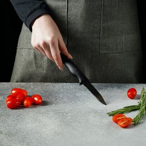 Нож для овощей Доляна «Грайм», лезвие 7,5 см, цвет чёрный