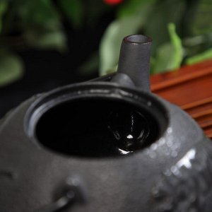 Чайник чугунный Доляна «Чёрный тигр», 700 мл, с ситом, эмалированное покрытие внутри, цвет чёрный