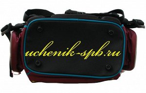 1074-mm-146 рюкзак+мешок (Цветы) бордо h36