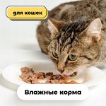 Влажные корма для кошек