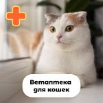 Ветаптека для кошек