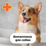 Ветаптека для собак