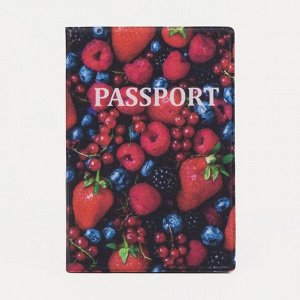 Обложка для паспорта, цвет красный/синий 4819674