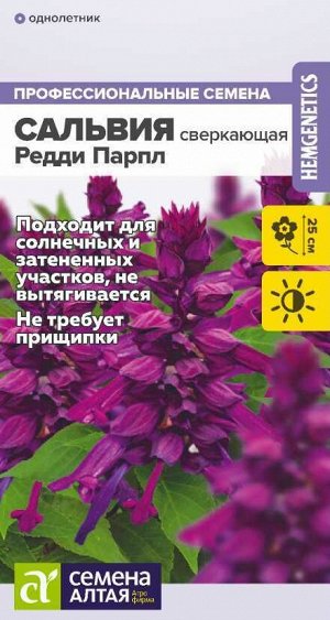 Сальвия Редди Парпл сверкающая/Сем Алт/цп 5 шт.