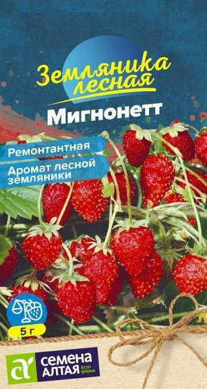 Ягода Земляника Мигнонетт ремонтантная/Сем Алт/цп 5 шт. НОВИНКА