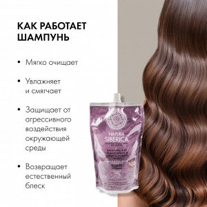 Natura Siberica 'NS' шампунь д/окр.волос 'Защита и блеск' Д 500мл, Натура Сиберика EXPS