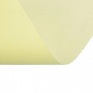 Бумага цветная А4, 100 листов Calligrata Pale, 80г/м2, жёлтая