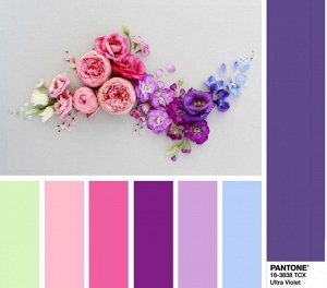 PANTONE 18-3838 Ultra Violet — Ультрафиолет