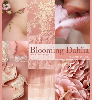 PANTONE 15-1520 Blooming Dahlia — Цветущий георгин