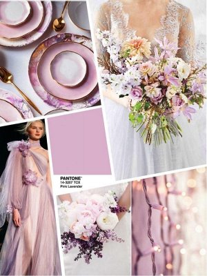 PANTONE 14-3207 Pink Lavender — Розовая лаванда