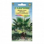 Семена комнатных цветов Вашингтония &quot;Санта-Барбара&quot;, ц/п, 3 шт.