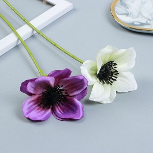 LADECOR Цветок декоративный в виде фиалки, пластик, 30 см, 2 цвета