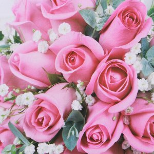 Пакет подарочный бумажный, Розовые розы, 17,5х24х8см, 4 дизайна