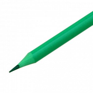 FLOMIK Набор цветных пластиковых стираемых карандашей, ластик, прокрашенный трехгр. корпус, 12 цв.