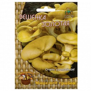 Мицелий грибов Вешенка Золотая/Лимонная 12шт