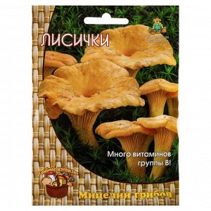 Мицелий грибов Лисички 60мл