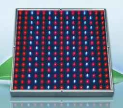 Фитолампа-панель (225 светодиодов: 165 красных