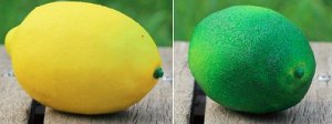 Искусственный лимон Цвет: НА ВЫБОР