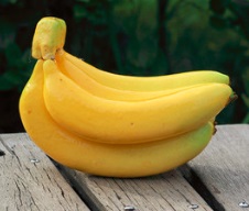 Искусственная связка бананов