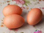 Искусственное яйцо
