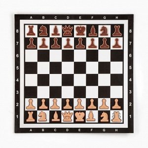 Шахматы демонстрационные 60x60 см, магнитная доска