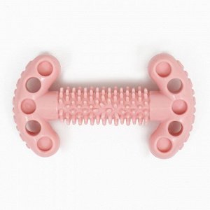 Игрушка для собак "Ключ", TPR, массажная, 12 х 3,5 х 5 см, розовая