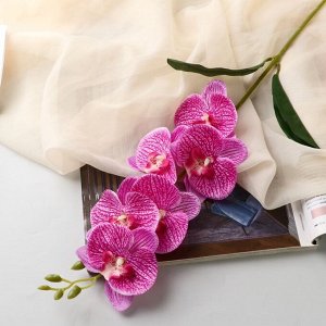 Цветы искусственные "Орхидея фаленопсис" премиум, 7х55 см, сиреневый