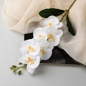Цветы искусственные "Орхидея фаленопсис" премиум, 7х55 см, белый