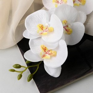 Цветы искусственные "Орхидея фаленопсис" премиум, 7х55 см, белый