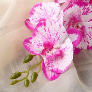Цветы искусственные "Орхидея фаленопсис" премиум, 7х55 см, малиново-белый