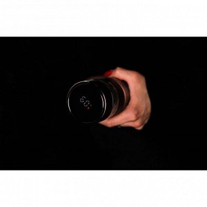 СИМА-ЛЕНД Термос-заварник чайный Magistro «Термо», 330 мл, 6,5×22 см, дисплей