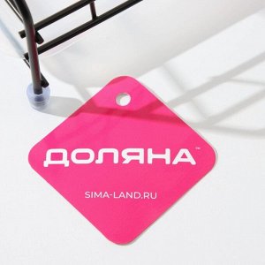 Сушилка для тарелок с поддоном Доляна, на 12 предметов, чёрная