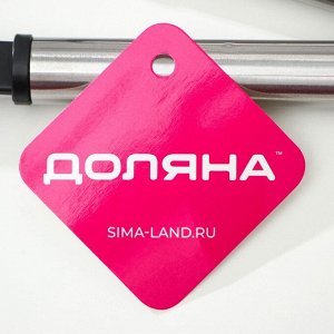 Набор кухонных принадлежностей Доляна «Антрацитовый блеск», 5 предметов, чёрная