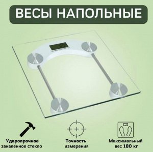 Напольные весы Personal Scale 2005D