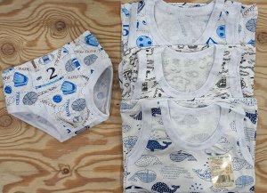 Комплект детского нижнего белья для мальчика хлопок цвет Ассорти (Тимошка)