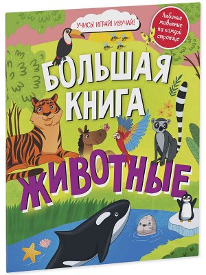 Найди и покажи. Большая книга Животные