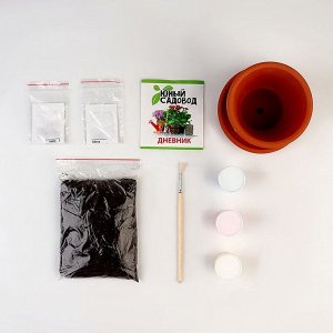 С набором «Юный садовод» «Травяной чай»