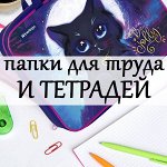 Папки для тетрадей и трудов