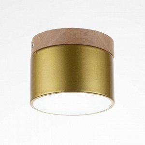 Светильник "Алтер" LED 7Вт 4000К золото 10х10х8 см BayerLux