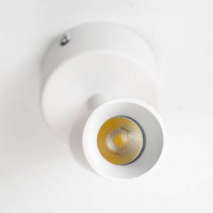 Спот "Антри" LED 6Вт 4000К белый 6х6х15,5 см