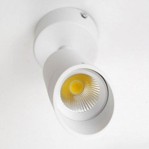 Спот "Палми" LED 7Вт 4000К белый 6х6х19 см