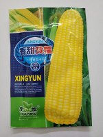 Кукуруза сладкая