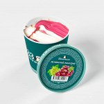 Мороженое Испанский виноград 330 гр.