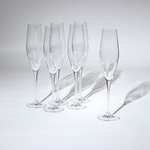 Набор бокалов для шампанского Loxia, стеклянный, 210 мл, 6 шт
