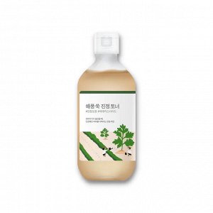 Успокаивающий тоник из полыни Mugwort Calming Toner